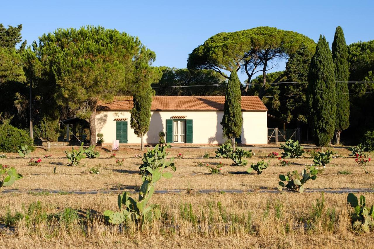 Residence La Canova II Marina di Grosseto Luaran gambar