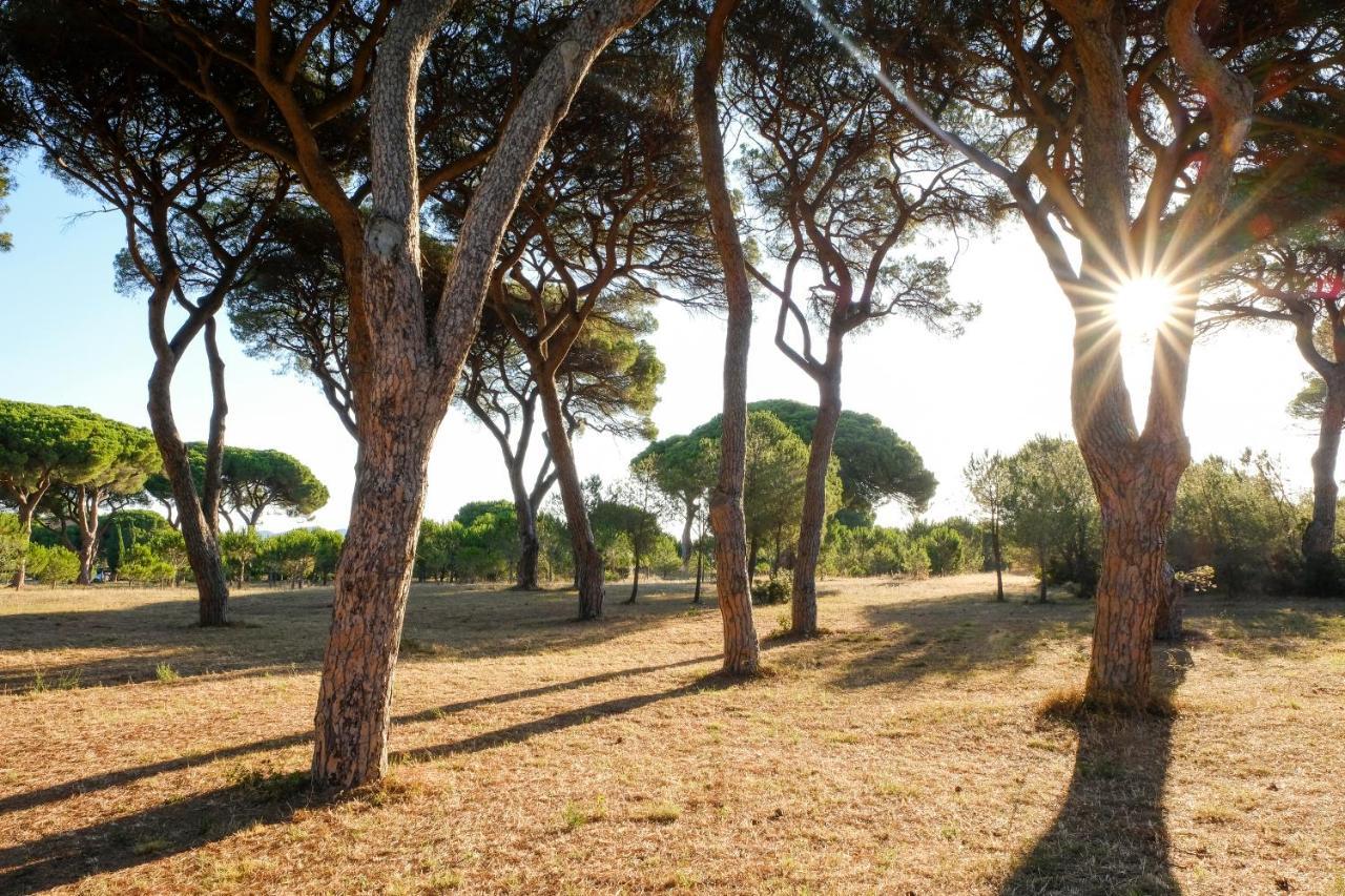 Residence La Canova II Marina di Grosseto Luaran gambar