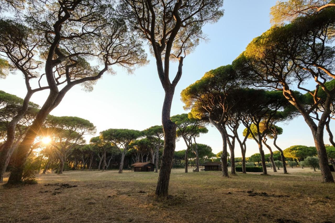 Residence La Canova II Marina di Grosseto Luaran gambar